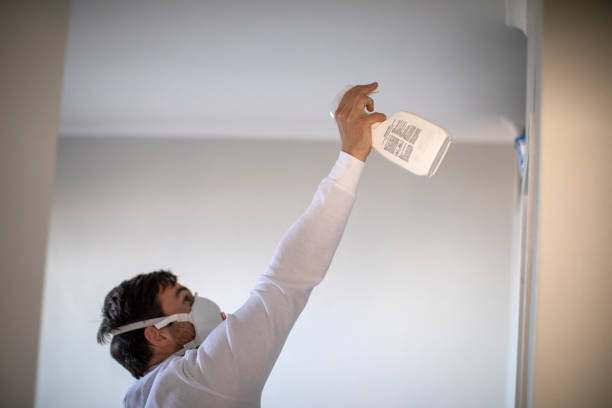 Best Localized Mold Remediation (e.g., coastal areas, humid climates) in Moss Bluff, LA