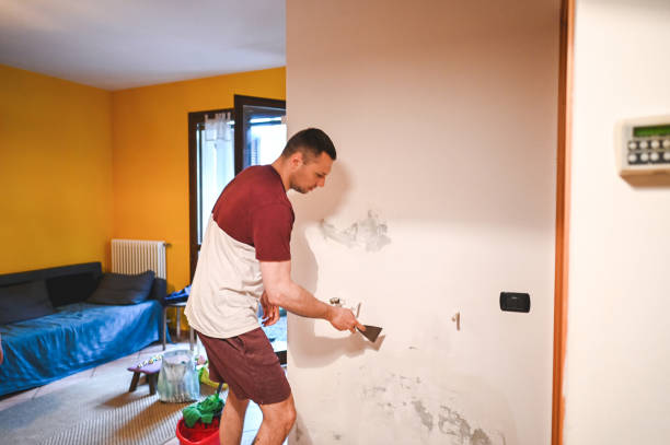 Best Localized Mold Remediation (e.g., coastal areas, humid climates) in Moss Bluff, LA