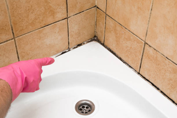 Moss Bluff, LA Mold Remediation Company